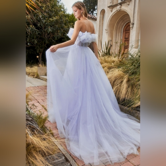 Blue strapless tulle long gown with scattered pearls - Picture 5 of 7